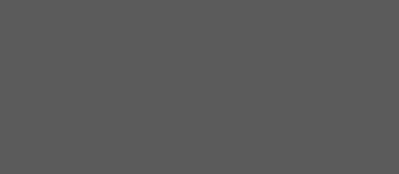 Website Basis